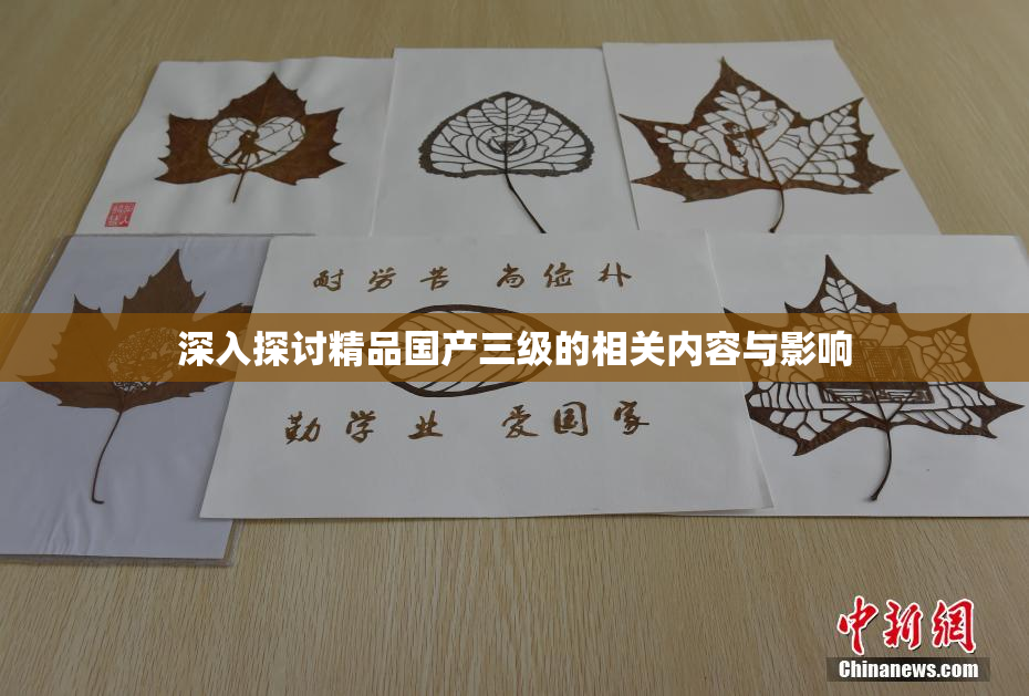 深入探讨精品国产三级的相关内容与影响