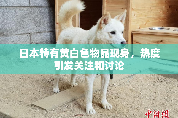日本特有黄白色物品现身，热度引发关注和讨论