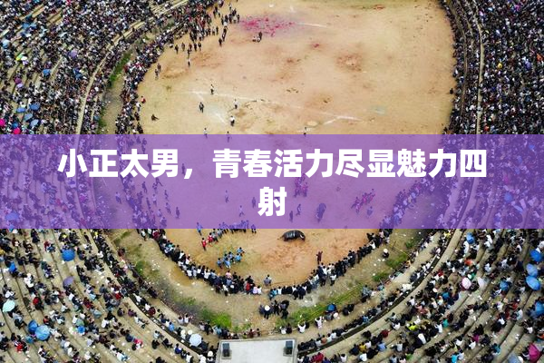 小正太男，青春活力尽显魅力四射