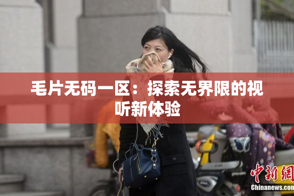 毛片无码一区：探索无界限的视听新体验