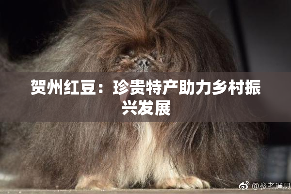 贺州红豆：珍贵特产助力乡村振兴发展