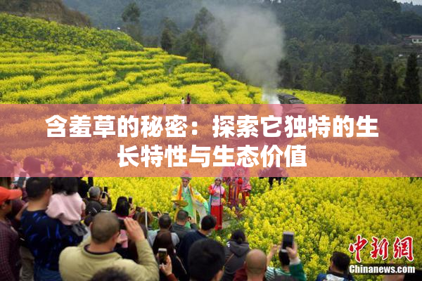 含羞草的秘密：探索它独特的生长特性与生态价值