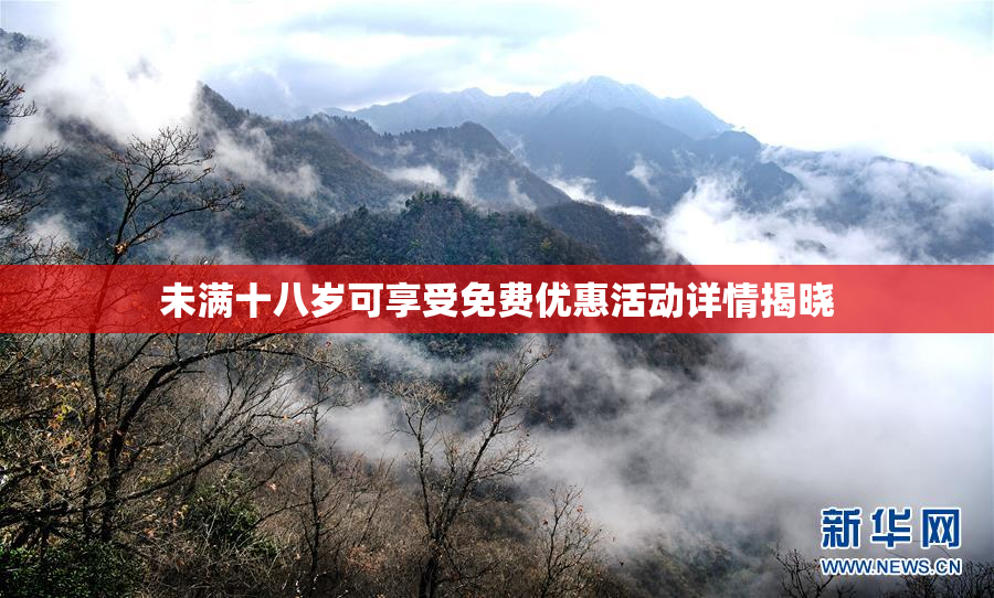 未满十八岁可享受免费优惠活动详情揭晓