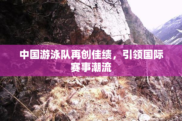 中国游泳队再创佳绩，引领国际赛事潮流