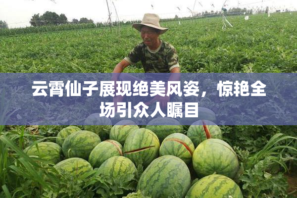 云霄仙子展现绝美风姿，惊艳全场引众人瞩目