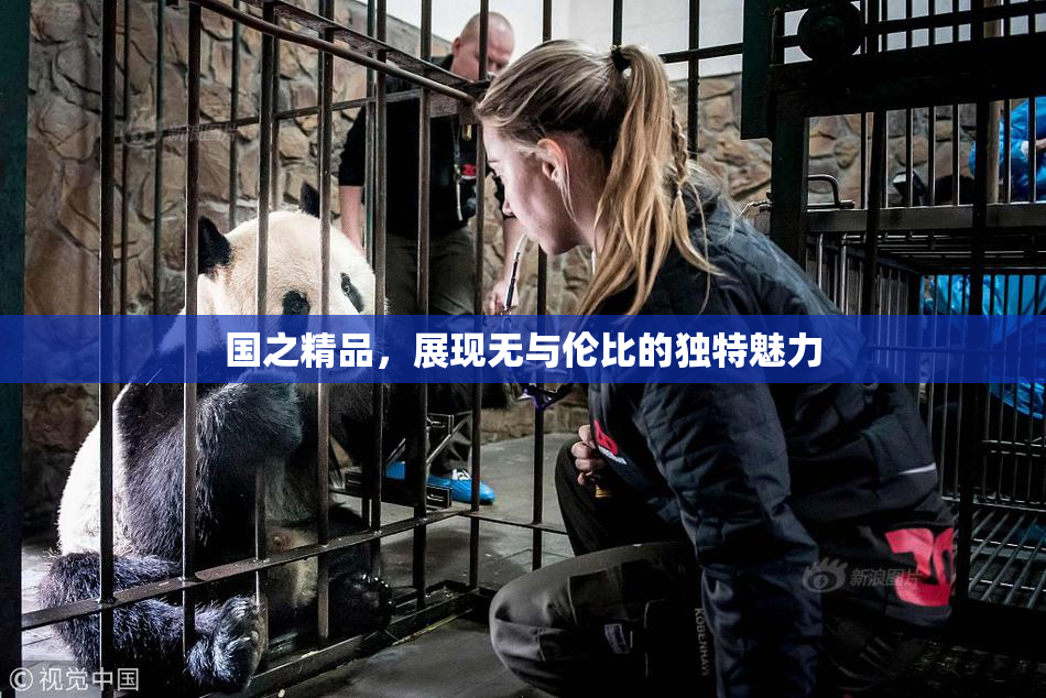 国之精品，展现无与伦比的独特魅力