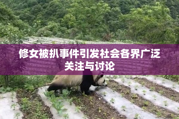 修女被扒事件引发社会各界广泛关注与讨论