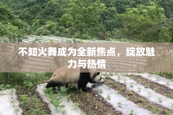 不知火舞成为全新焦点，绽放魅力与热情