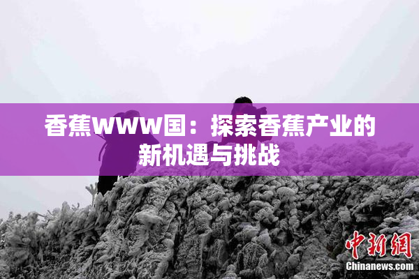 香蕉WWW国：探索香蕉产业的新机遇与挑战