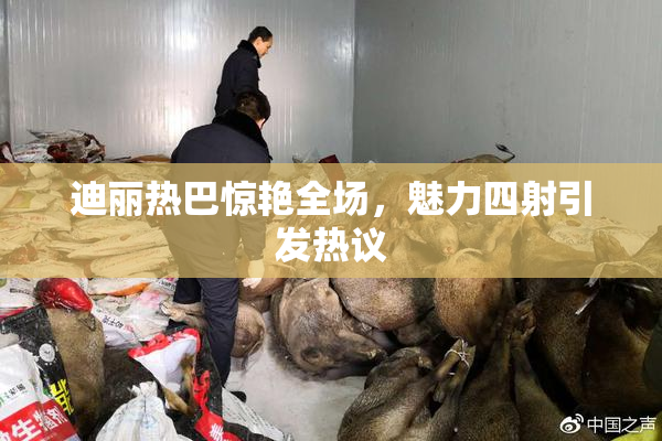 迪丽热巴惊艳全场，魅力四射引发热议