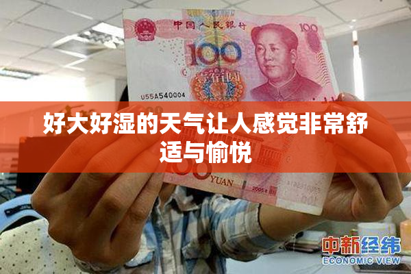 好大好湿的天气让人感觉非常舒适与愉悦
