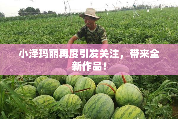 小泽玛丽再度引发关注，带来全新作品！