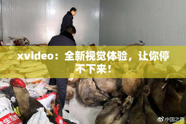 xvideo：全新视觉体验，让你停不下来！