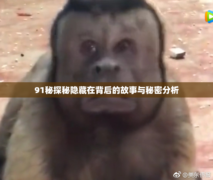 91秘探秘隐藏在背后的故事与秘密分析