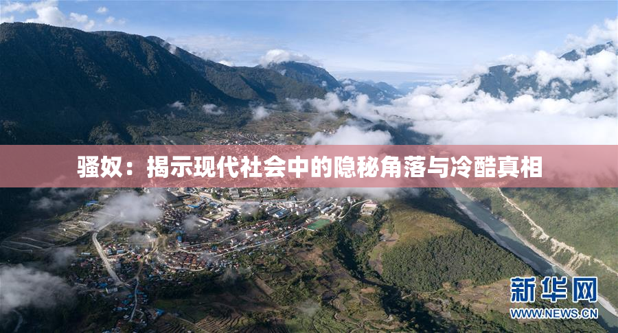 骚奴：揭示现代社会中的隐秘角落与冷酷真相