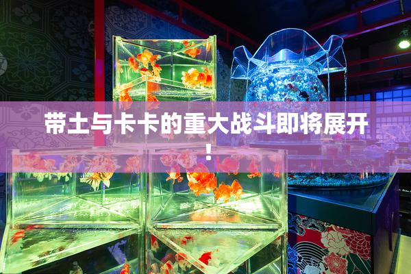 带土与卡卡的重大战斗即将展开！