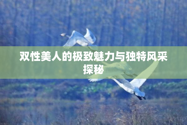 双性美人的极致魅力与独特风采探秘