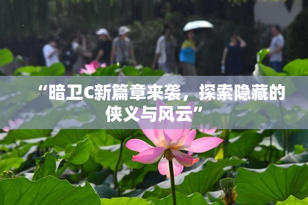 “暗卫C新篇章来袭，探索隐藏的侠义与风云”