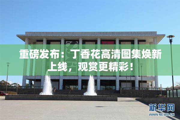 重磅发布：丁香花高清图集焕新上线，观赏更精彩！