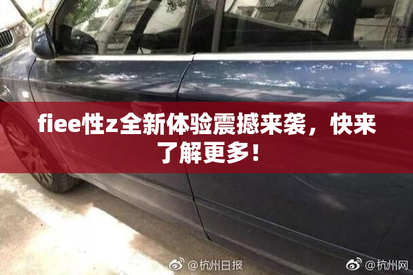fiee性z全新体验震撼来袭，快来了解更多！