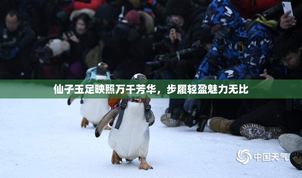 仙子玉足映照万千芳华，步履轻盈魅力无比