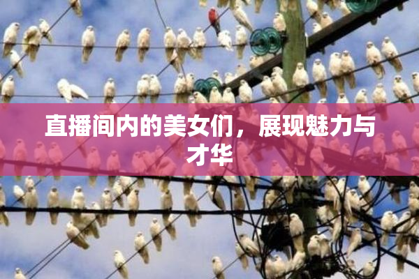直播间内的美女们，展现魅力与才华