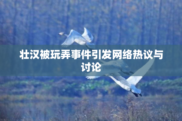 壮汉被玩弄事件引发网络热议与讨论
