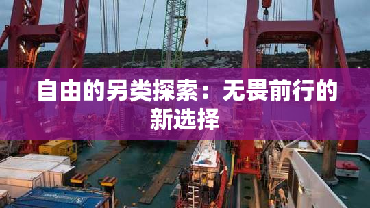自由的另类探索：无畏前行的新选择