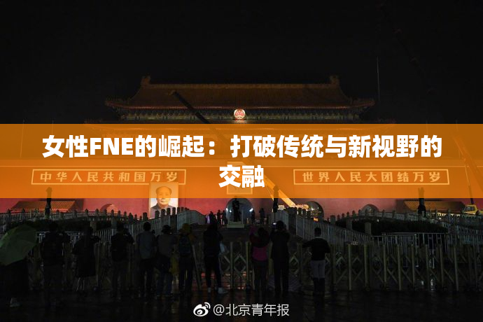 女性FNE的崛起：打破传统与新视野的交融