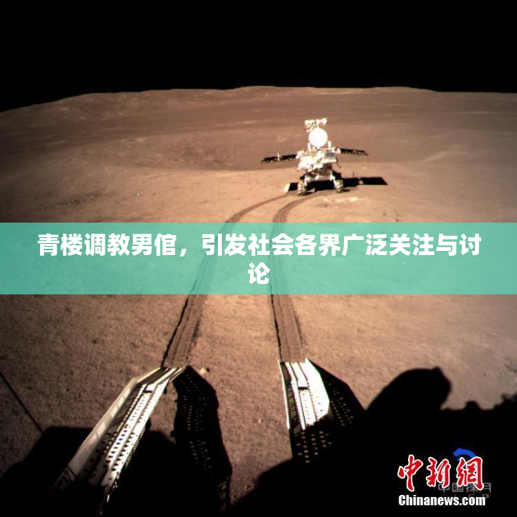 青楼调教男倌，引发社会各界广泛关注与讨论