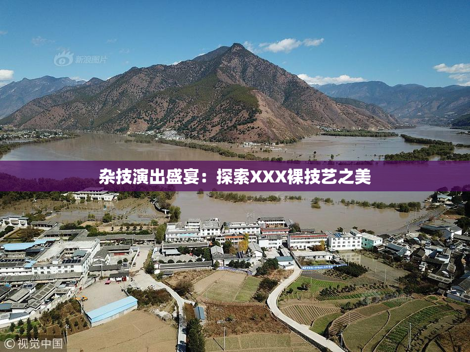 杂技演出盛宴：探索XXX裸技艺之美