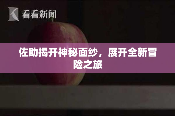 佐助揭开神秘面纱，展开全新冒险之旅