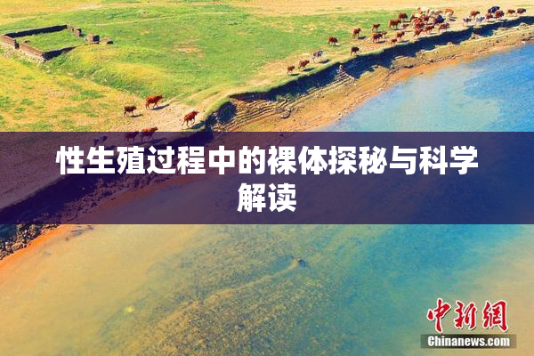性生殖过程中的裸体探秘与科学解读