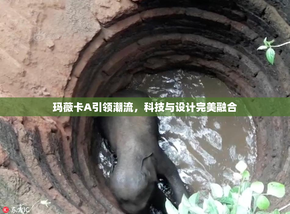玛薇卡A引领潮流，科技与设计完美融合