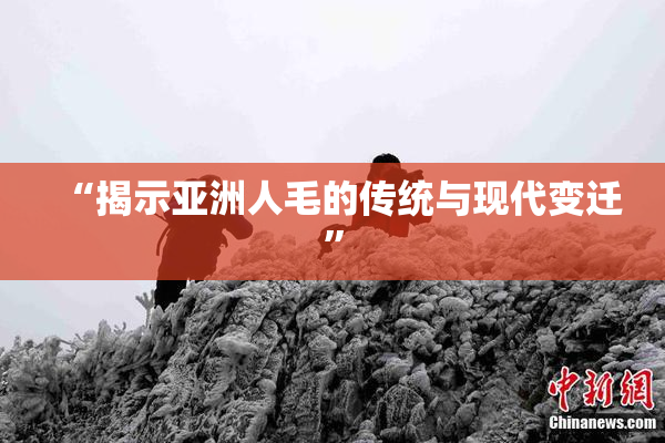 “揭示亚洲人毛的传统与现代变迁”
