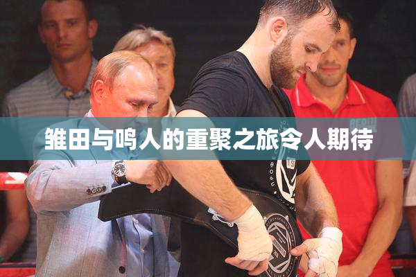 雏田与鸣人的重聚之旅令人期待