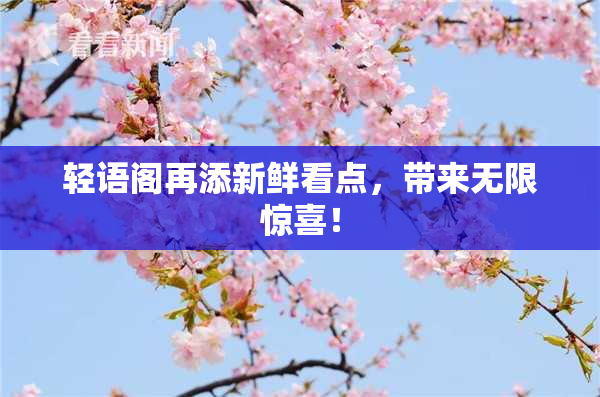 轻语阁再添新鲜看点，带来无限惊喜！