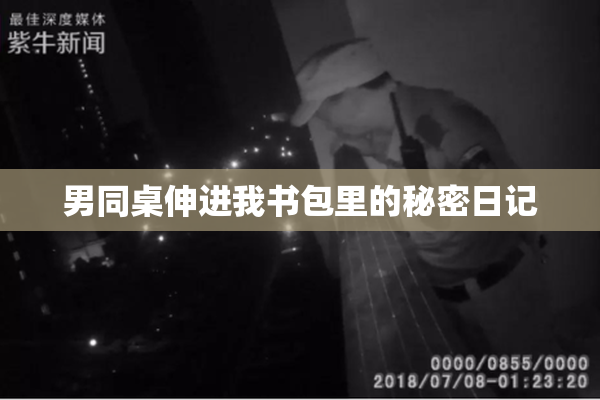男同桌伸进我书包里的秘密日记