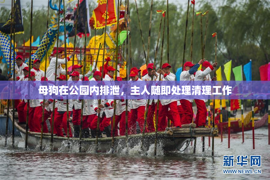 母狗在公园内排泄，主人随即处理清理工作
