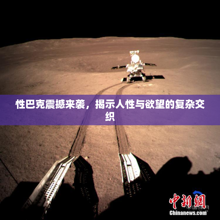 性巴克震撼来袭，揭示人性与欲望的复杂交织
