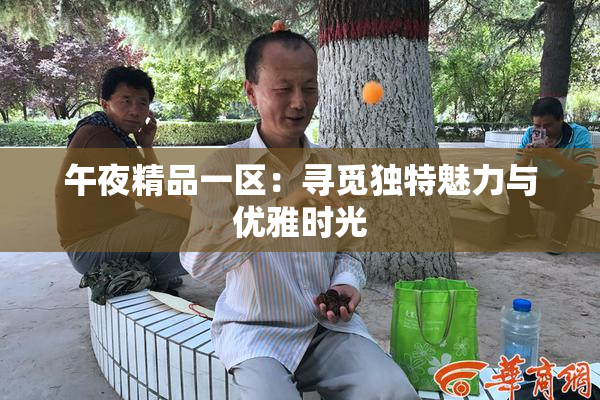 午夜精品一区：寻觅独特魅力与优雅时光