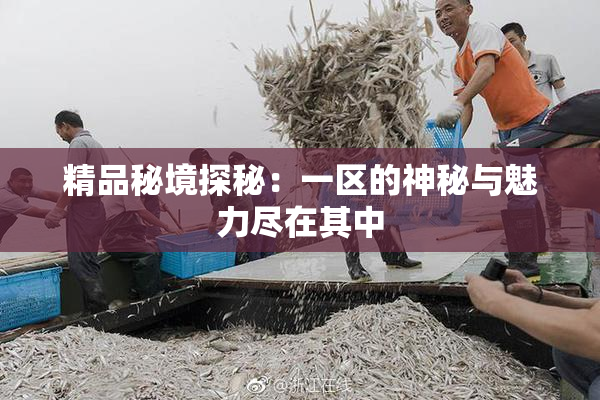 精品秘境探秘：一区的神秘与魅力尽在其中