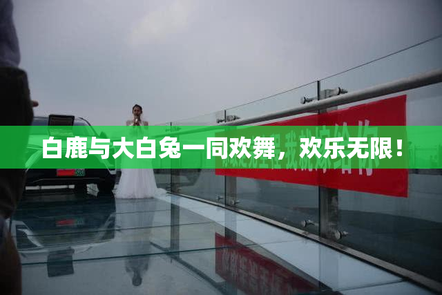 白鹿与大白兔一同欢舞，欢乐无限！