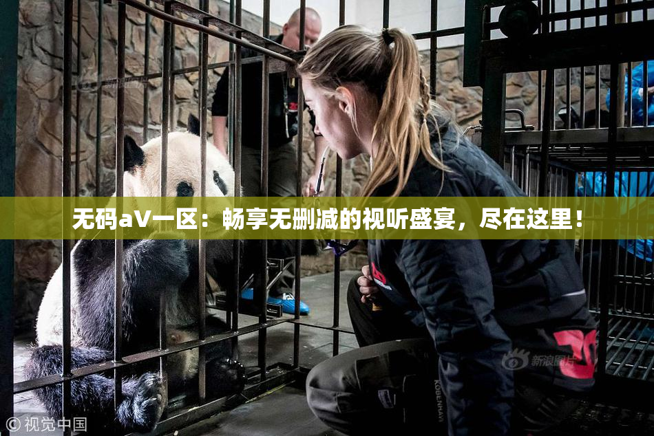 无码aV一区：畅享无删减的视听盛宴，尽在这里！