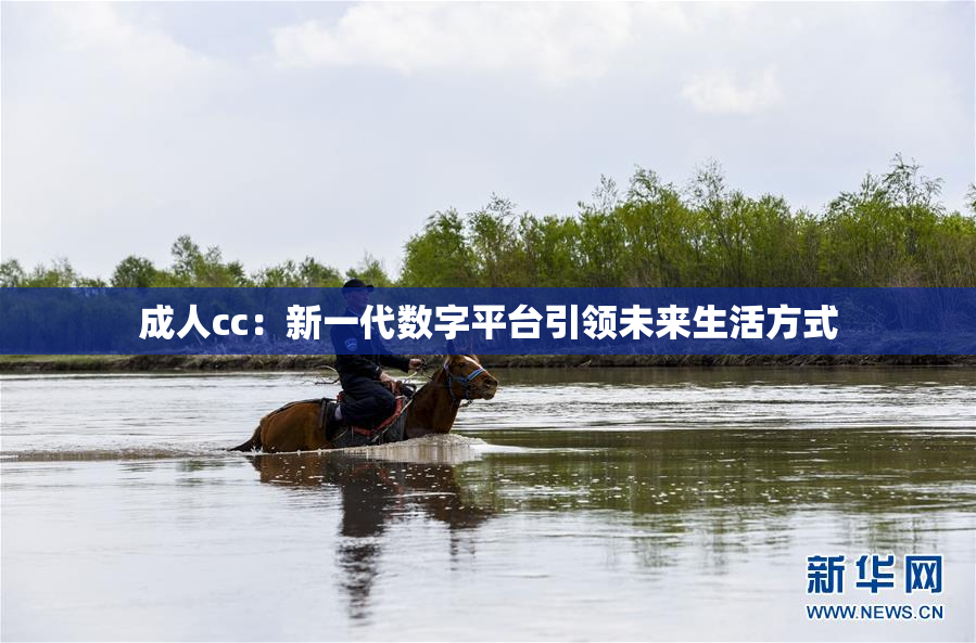 成人cc：新一代数字平台引领未来生活方式