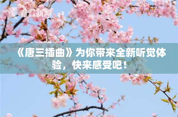 《唐三插曲》为你带来全新听觉体验，快来感受吧！