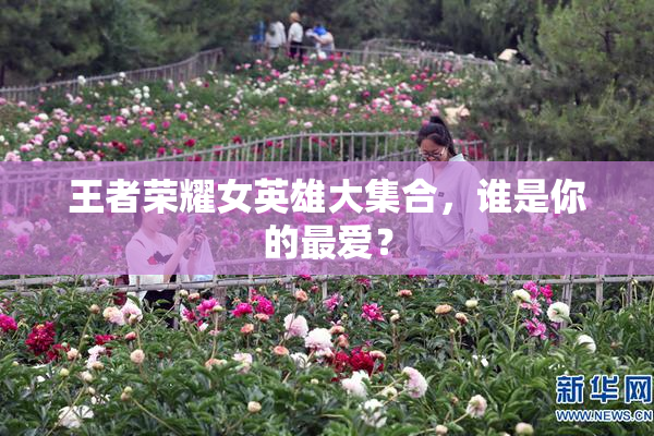 王者荣耀女英雄大集合，谁是你的最爱？