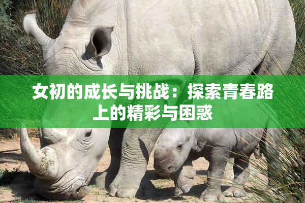 女初的成长与挑战：探索青春路上的精彩与困惑