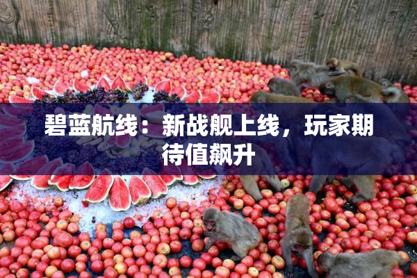 碧蓝航线：新战舰上线，玩家期待值飙升