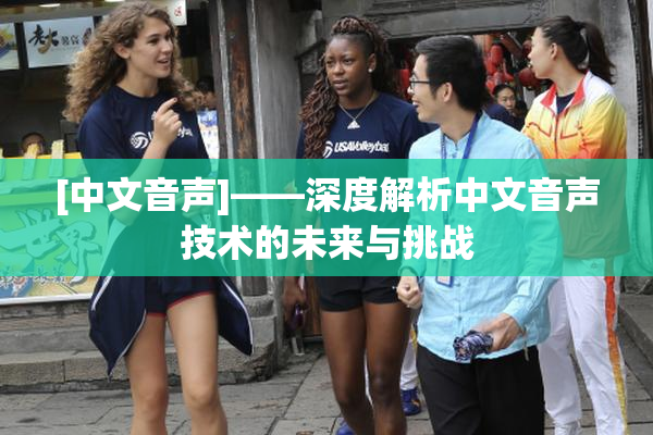 [中文音声]——深度解析中文音声技术的未来与挑战